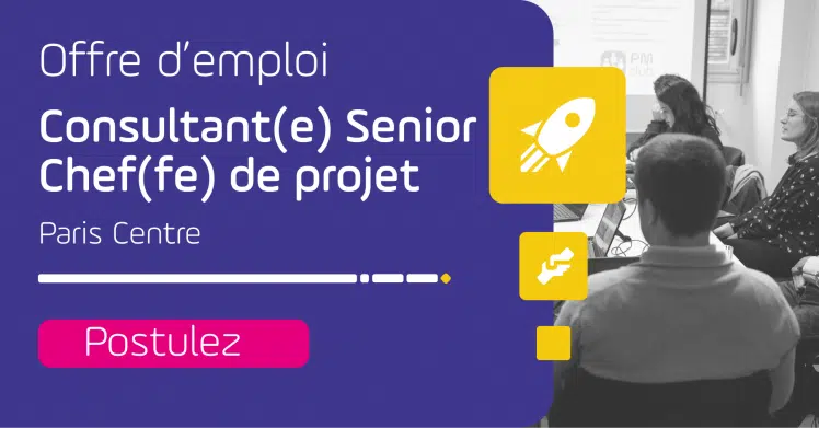 offre consultant senior chef de projet virage group
