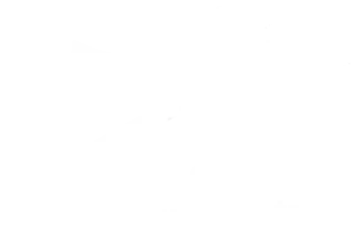 Logo Intermarché blanc