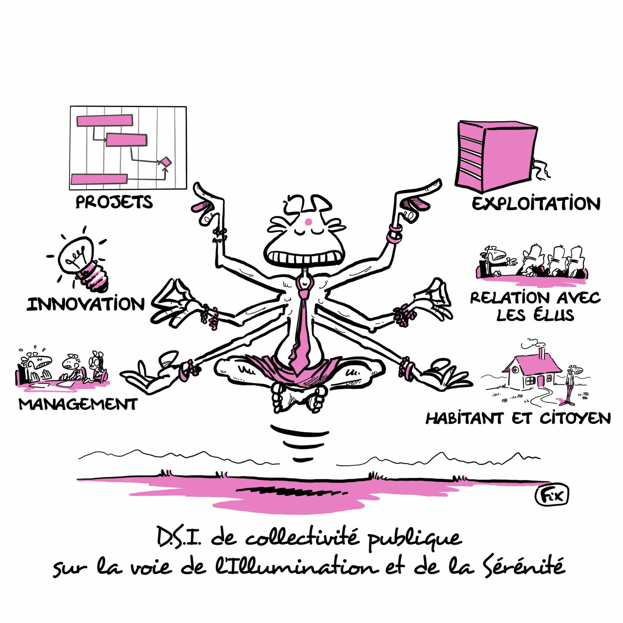 DSI management et pilotage