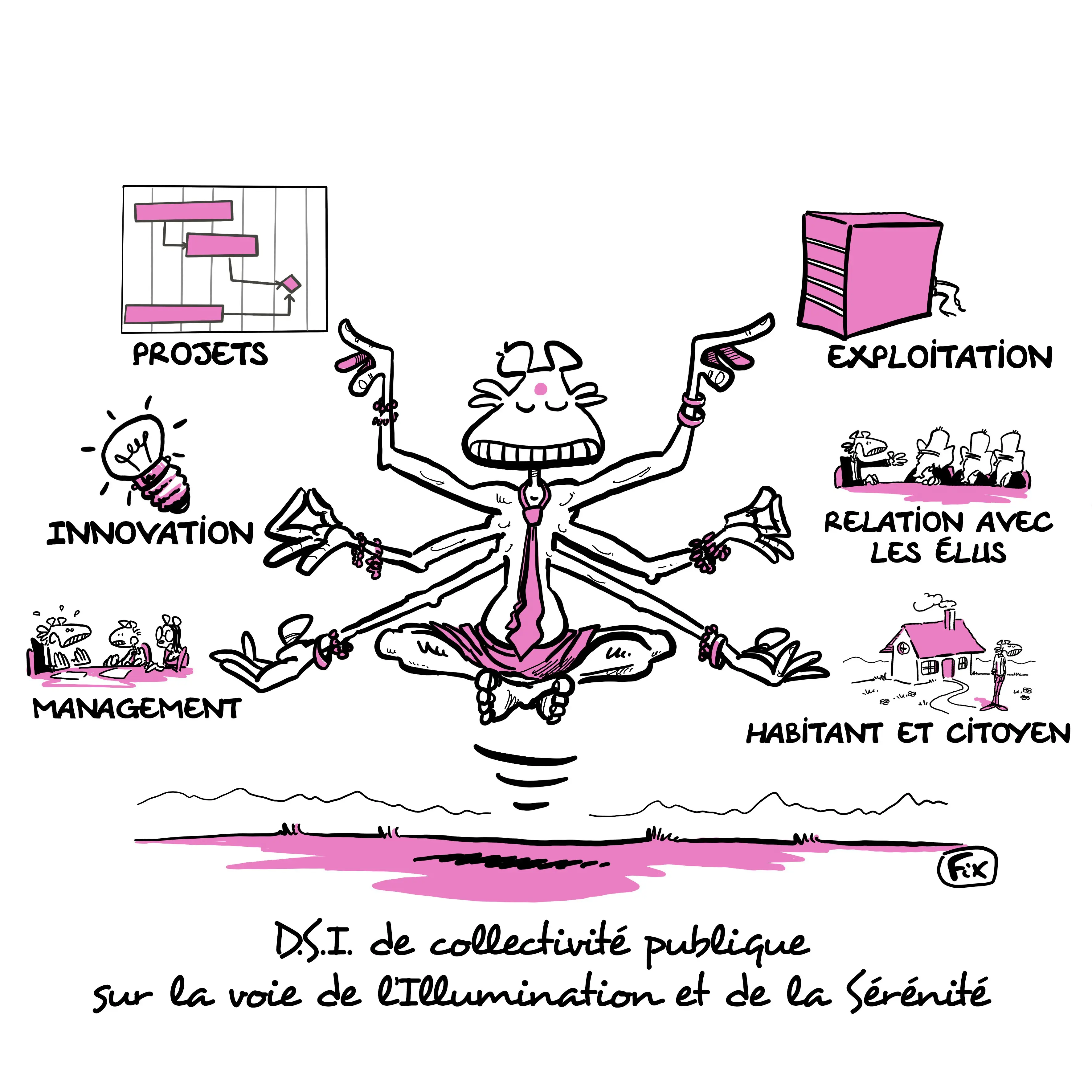 DSI management et pilotage