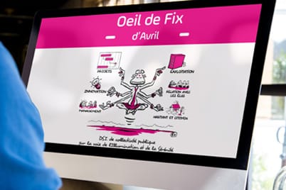 Oeil de fix dsi collectivite ppm