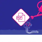 support webinar projet transformation numérique
