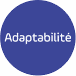 Adaptability value Virage Group
