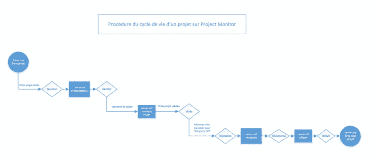 ppm ciclo de vida del proyecto de software