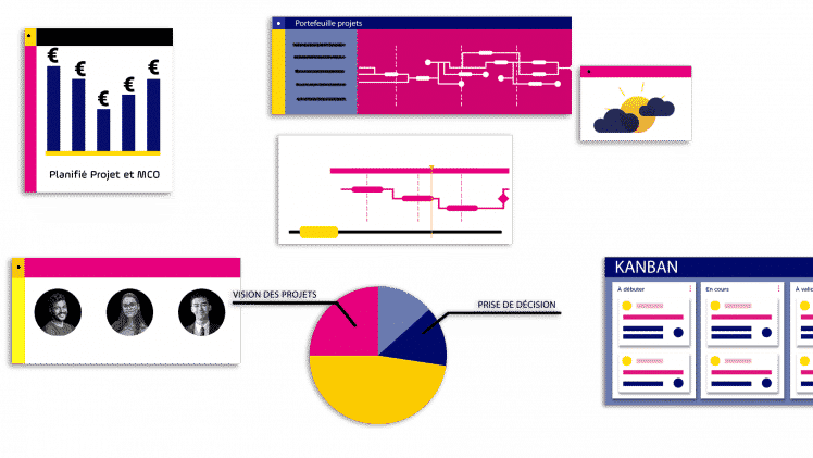 Software de gestión de proyectos portafolio  project monitor