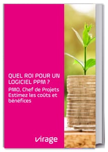 guide roi logiciel de gestion de portefeuille projet