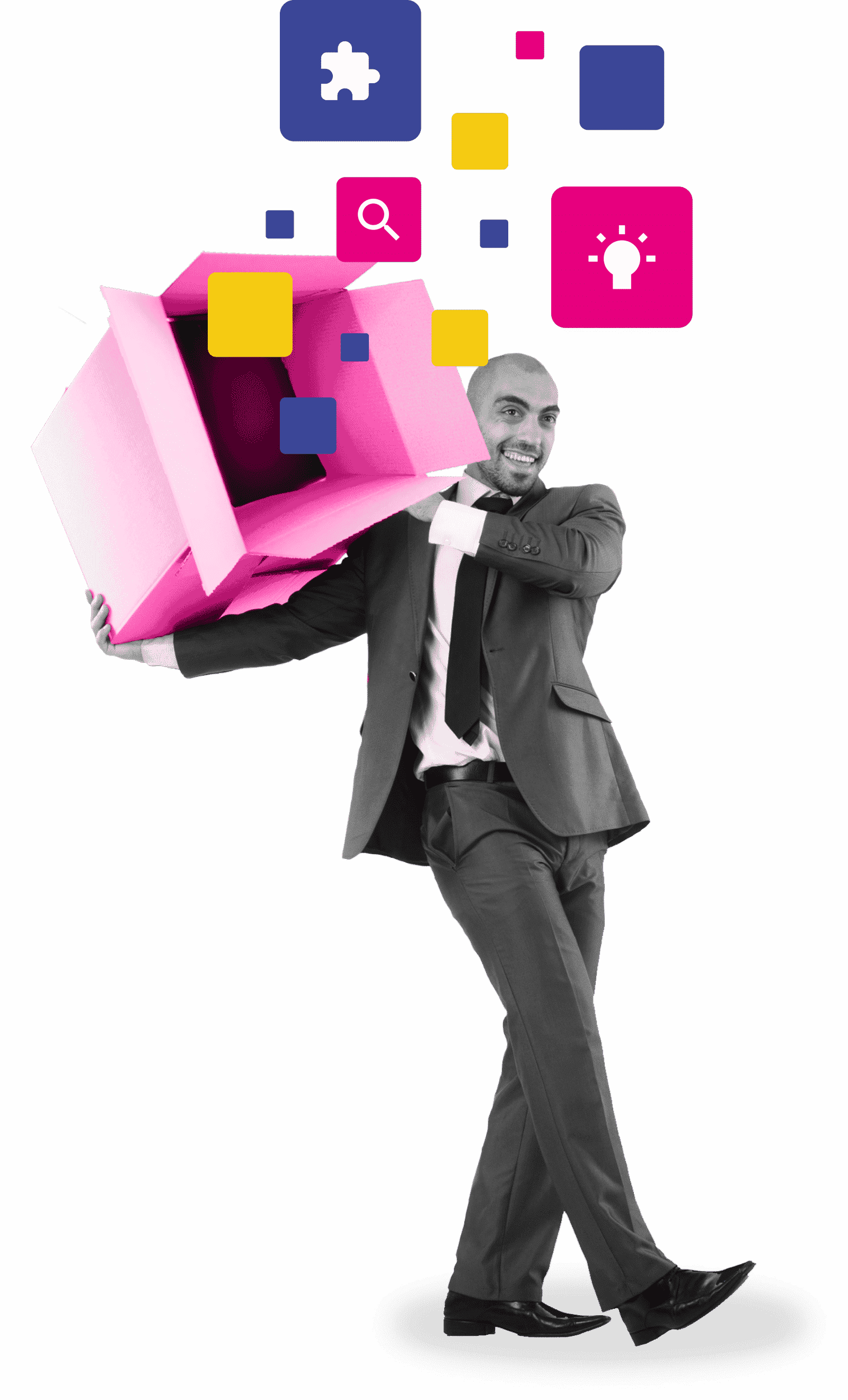 Demand management: from idea to project: Functionality Project Monitor