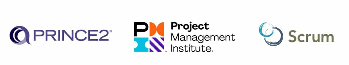 ppm methodology logo