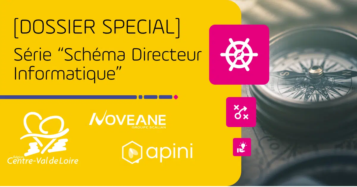 card serie schema directeur informatique