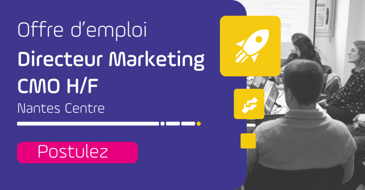 offre d'emploi directeur marketing virage group nantes