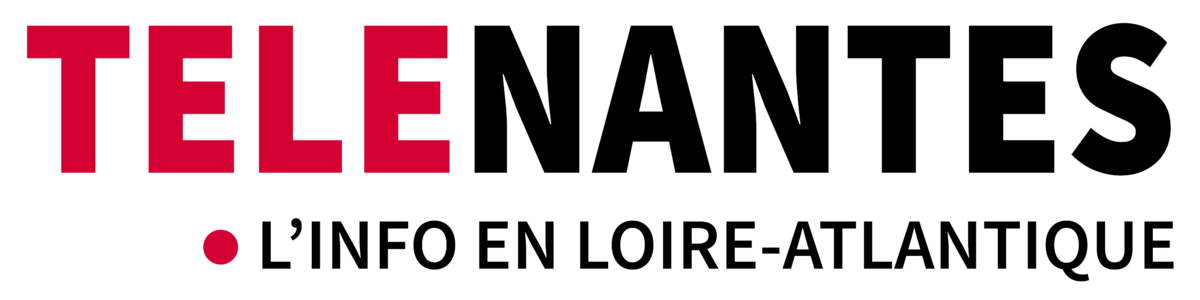 logo telenantes