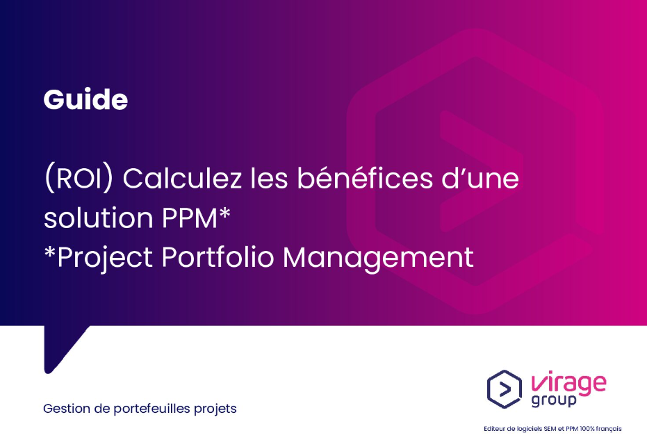 Guide ROI PPM Project monitor