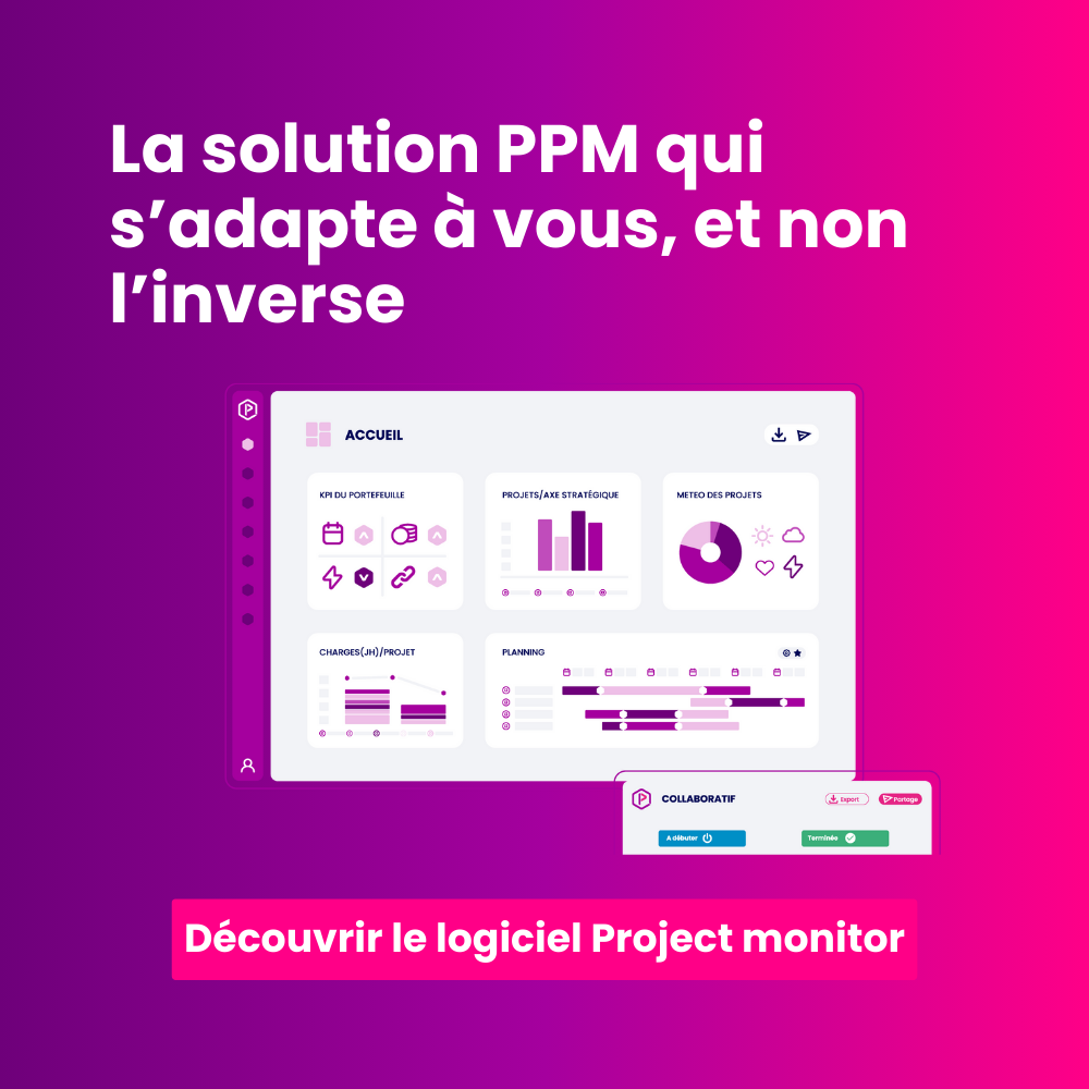 visuel logiciel PPM project monitor
